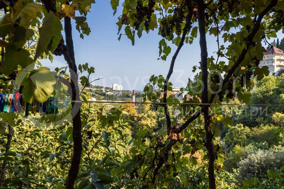 Вид из гостиницы "У Артура" в Сочи