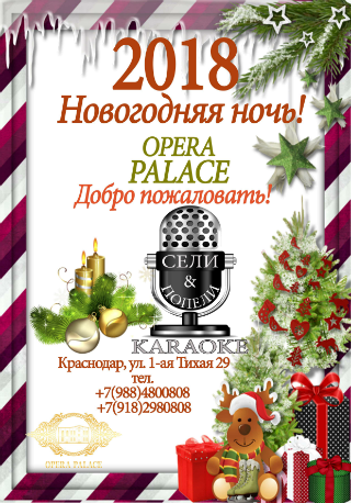 Новогодняя ночь в ресторане Opera Palace