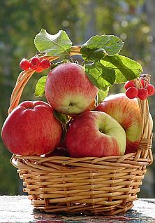 Яблочный Спас в Тарханах