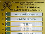 Бизнес-инкубатор Курганской области
