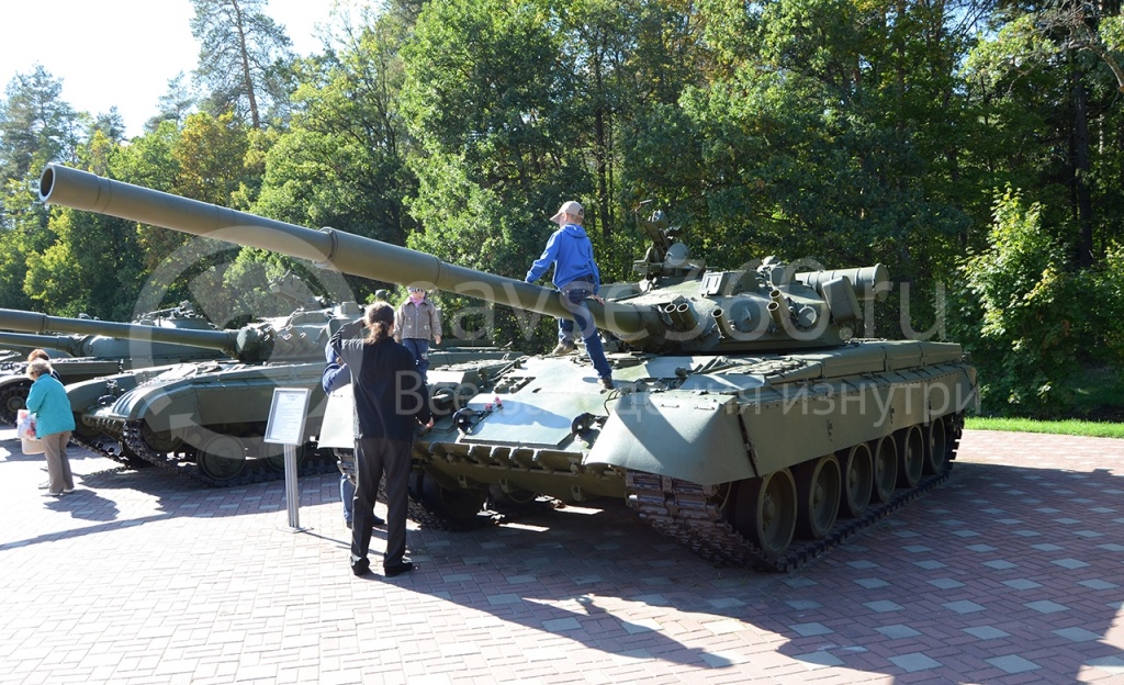 Партизанская Поляна - "T-80"