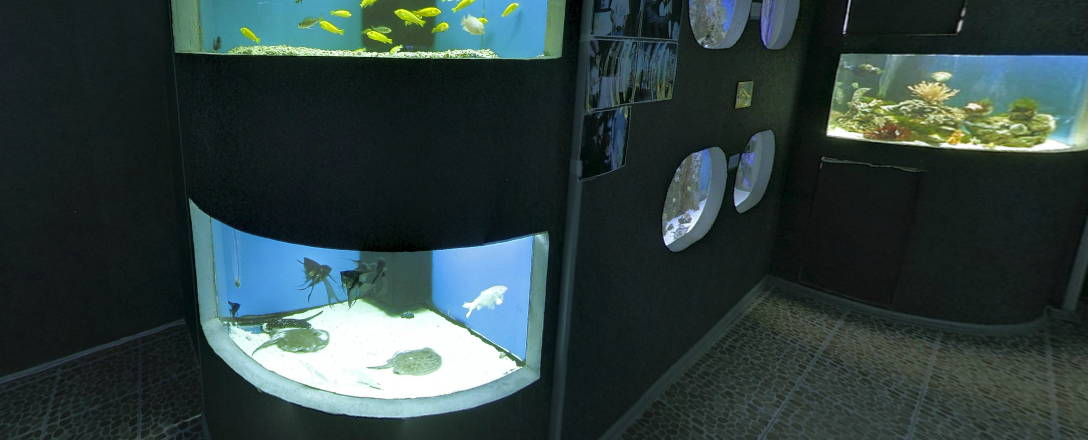 AQUALAR, океанариум