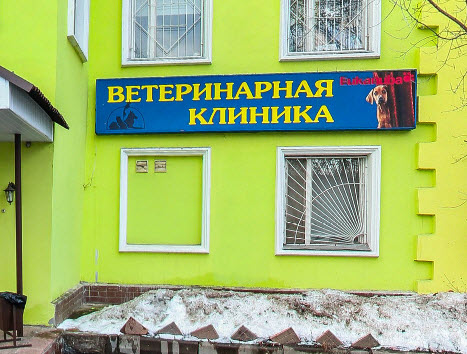 Идеал, ветеринарная клиника